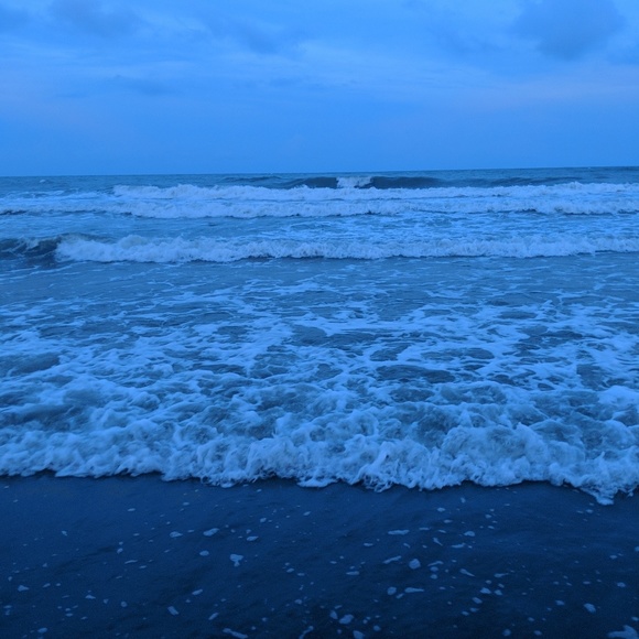 Meet your Posher, Hailey - Picture 1 of 1